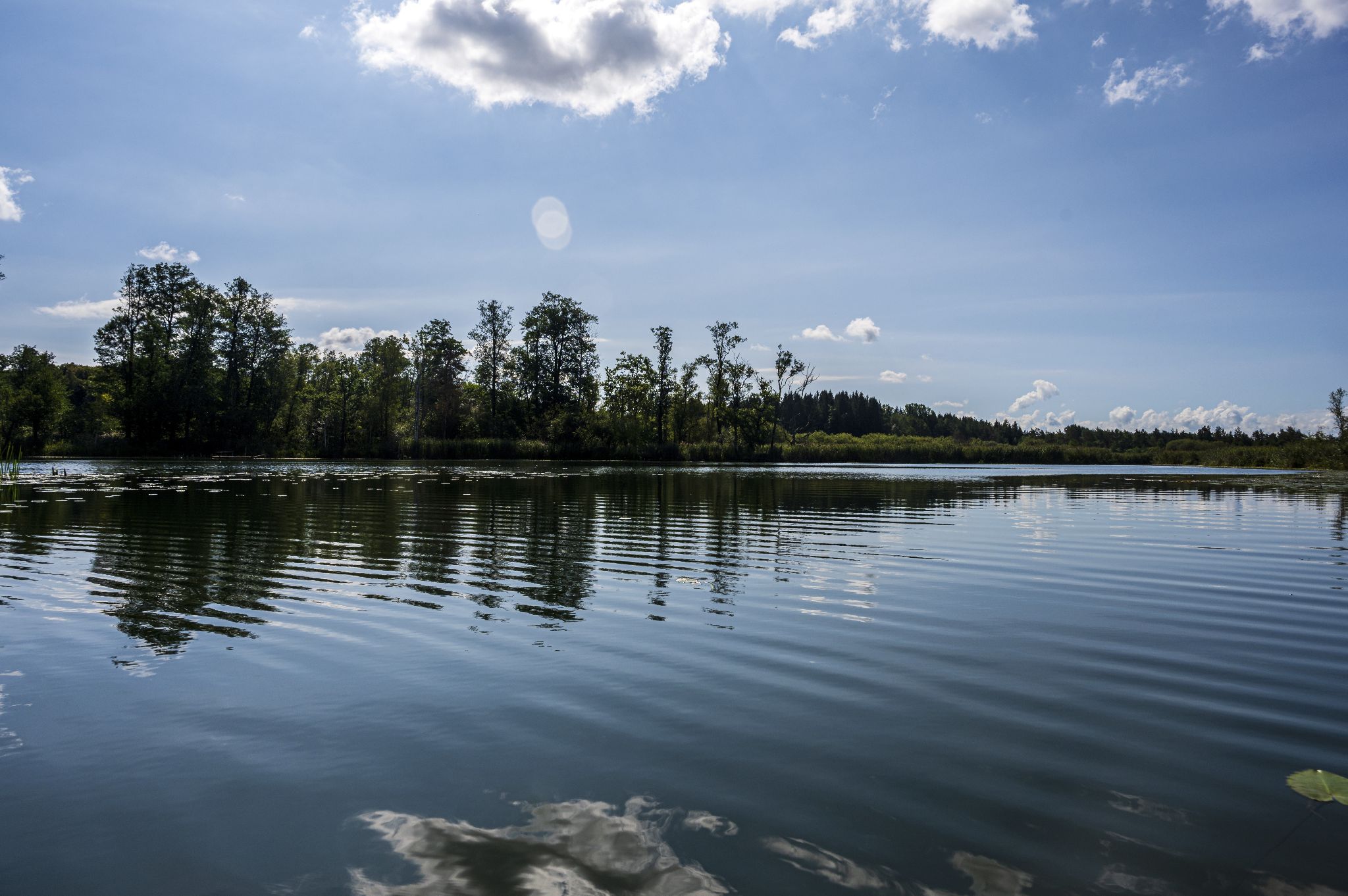 Kajaktour Leutstettner Moos 21.08.2022
